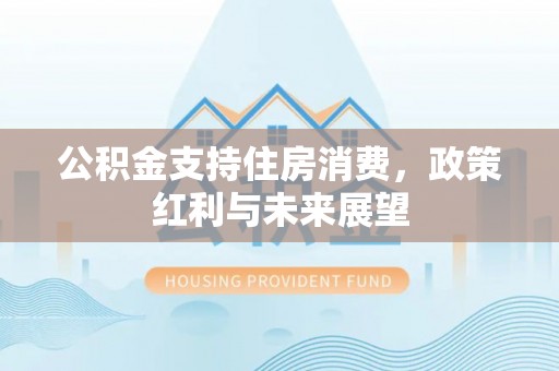 沙县公积金支持住房消费，政策红利与未来展望