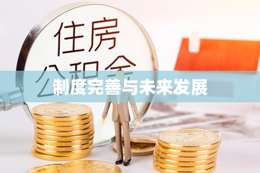 沙县制度完善与未来发展