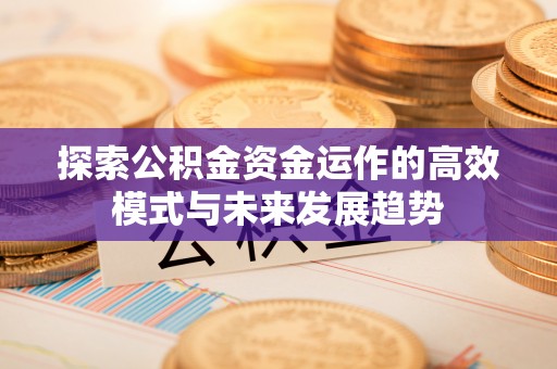 沙县探索公积金资金运作的高效模式与未来发展趋势