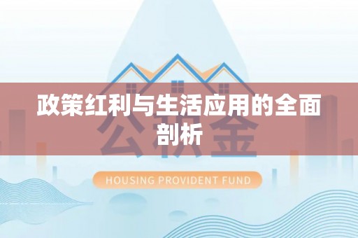 沙县政策红利与生活应用的全面剖析