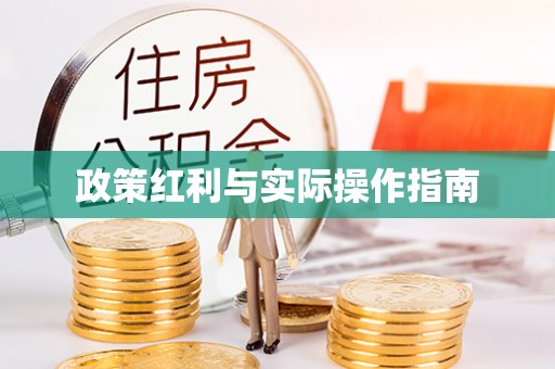 沙县政策红利与实际操作指南