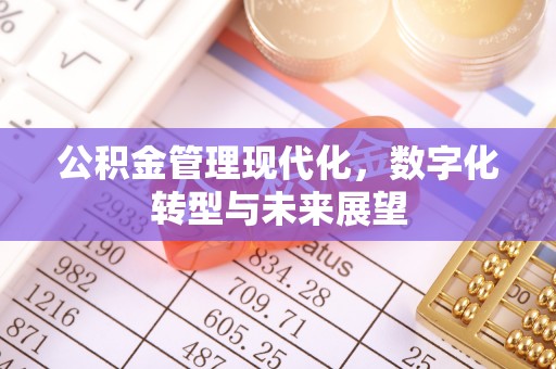 沙县公积金管理现代化，数字化转型与未来展望