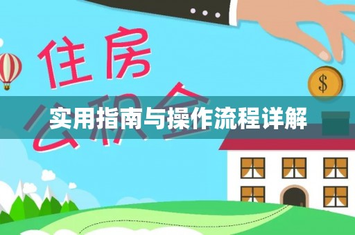 沙县实用指南与操作流程详解