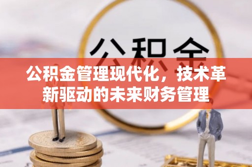 沙县公积金管理现代化，技术革新驱动的未来财务管理