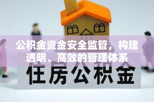 沙县公积金资金安全监管，构建透明、高效的管理体系