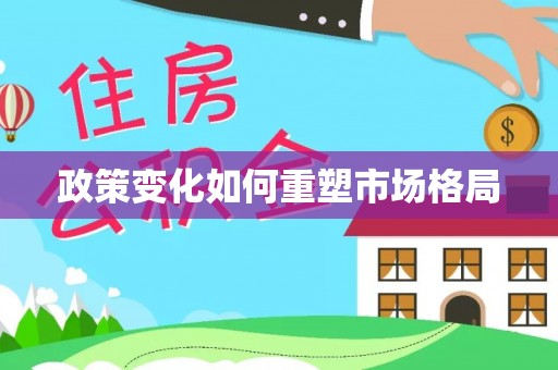 沙县政策变化如何重塑市场格局