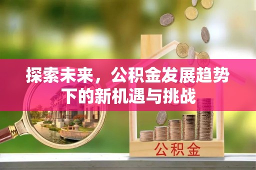 沙县探索未来，公积金发展趋势下的新机遇与挑战