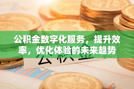 沙县公积金数字化服务，提升效率，优化体验的未来趋势