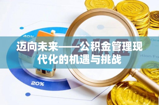 沙县迈向未来——公积金管理现代化的机遇与挑战