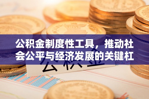 沙县公积金制度性工具，推动社会公平与经济发展的关键杠杆