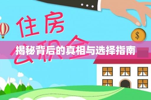 沙县揭秘背后的真相与选择指南