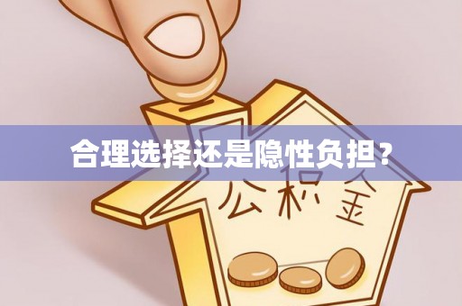 沙县合理选择还是隐性负担？