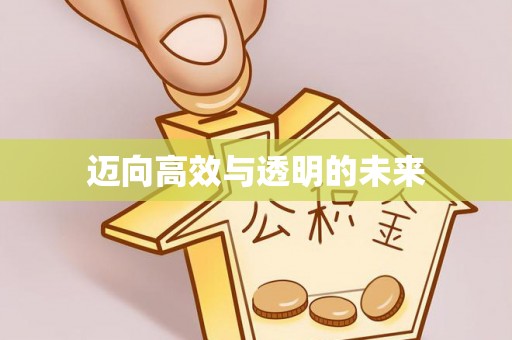 沙县迈向高效与透明的未来