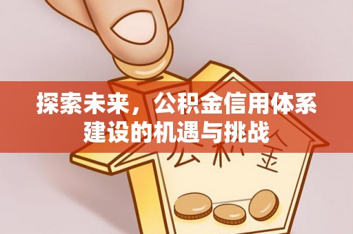 沙县探索未来，公积金信用体系建设的机遇与挑战