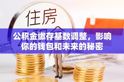 沙县公积金缴存基数调整，影响你的钱包和未来的秘密