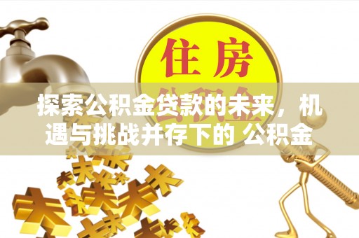 沙县探索公积金贷款的未来，机遇与挑战并存下的 公积金贷款风险防控