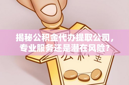 沙县揭秘公积金代办提取公司，专业服务还是潜在风险？