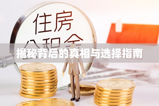 沙县揭秘背后的真相与选择指南