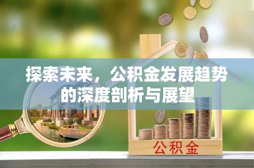 沙县探索未来，公积金发展趋势的深度剖析与展望