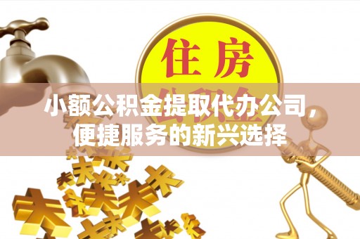 沙县小额公积金提取代办公司，便捷服务的新兴选择