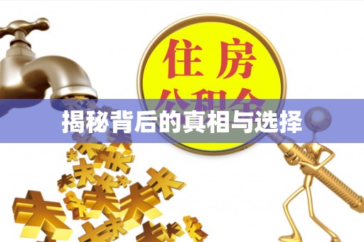 沙县揭秘背后的真相与选择