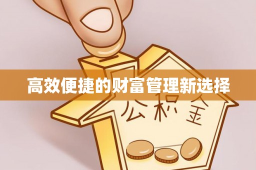 沙县高效便捷的财富管理新选择