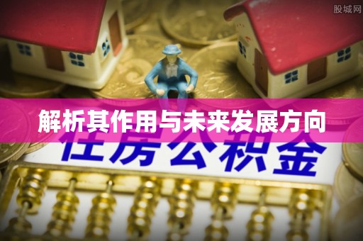 沙县解析其作用与未来发展方向