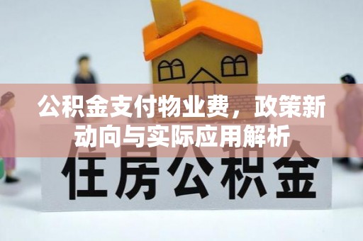 沙县公积金支付物业费，政策新动向与实际应用解析