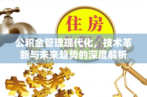 沙县公积金管理现代化，技术革新与未来趋势的深度解析