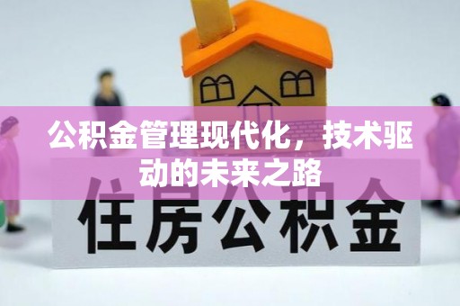 沙县公积金管理现代化，技术驱动的未来之路